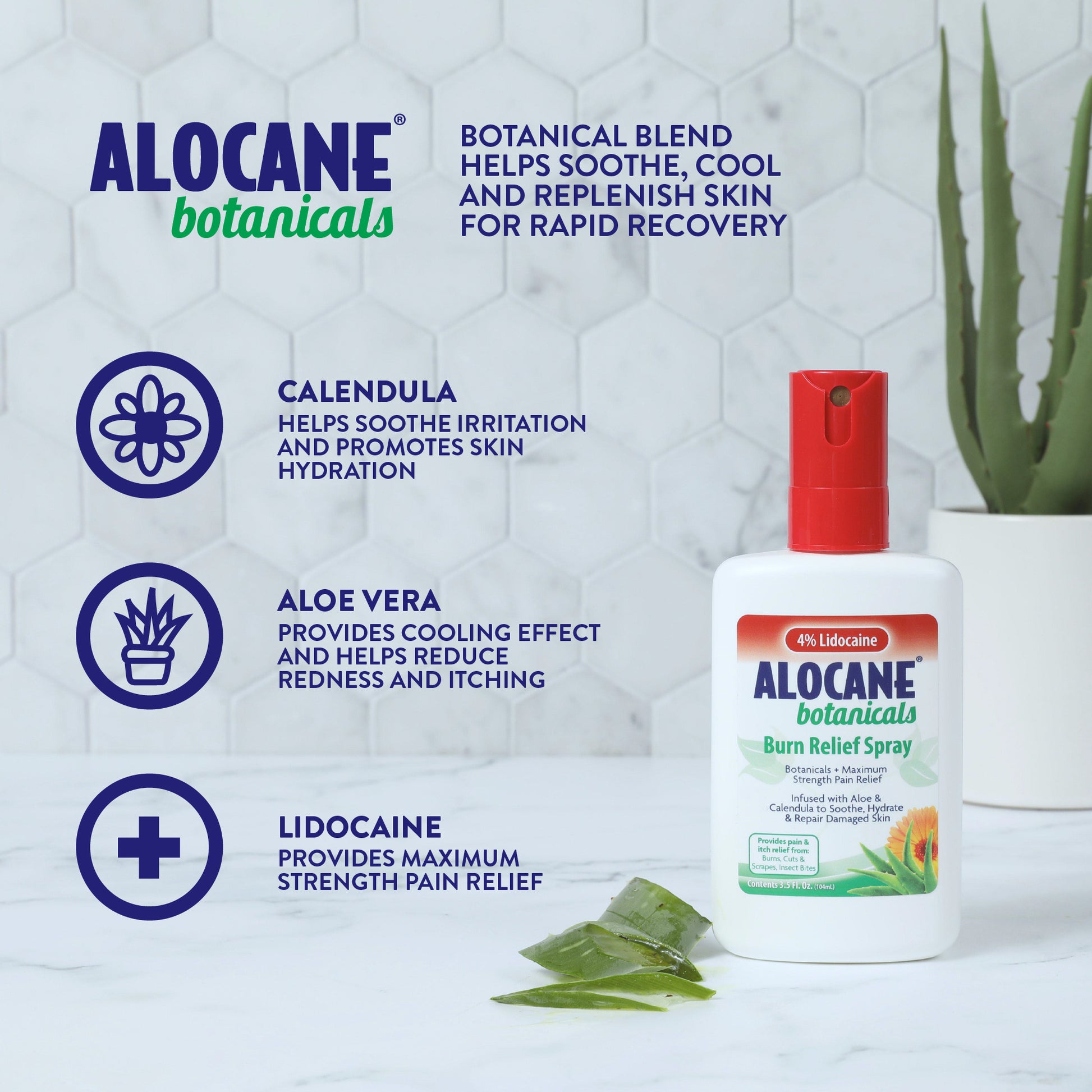 aloe vera plant for burned skin ALOCANE Botanicals Burn Relief Spray, 3.5 Fluid Ounce – Alocane